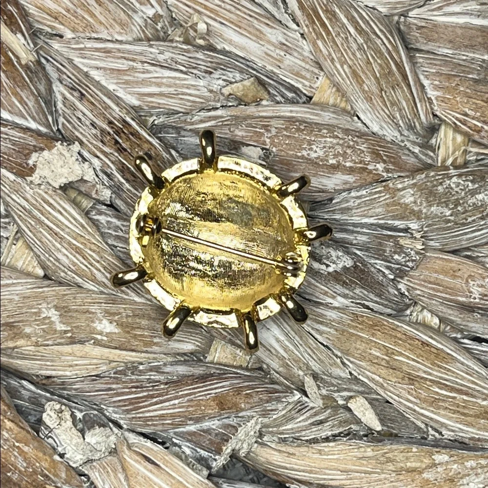 Elegant Ladybug Brooch in‎ Red and Black